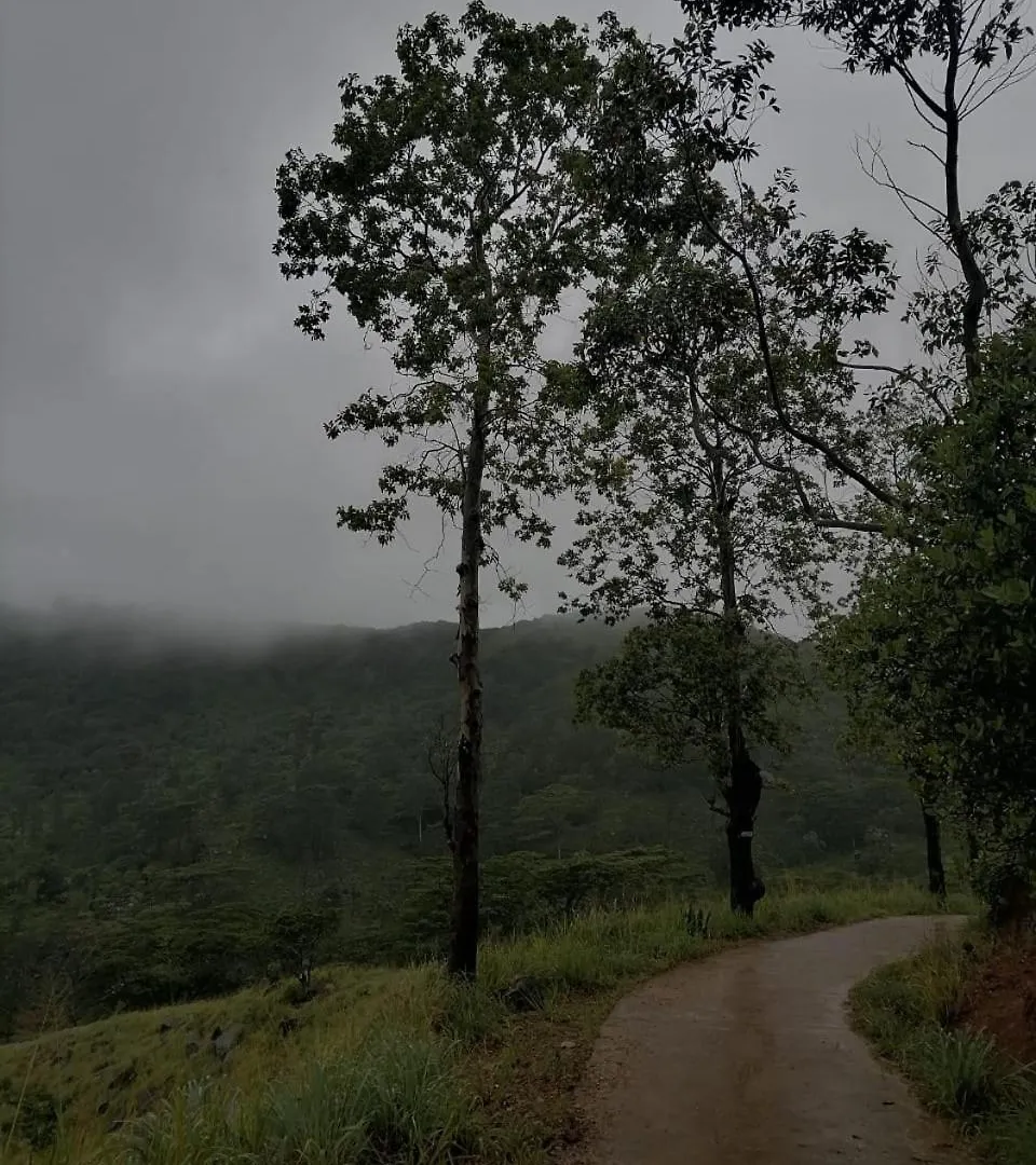 The Off Road Homestay Kandy