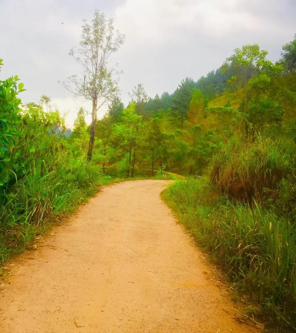 The Off Road Homestay Kandy Sri Lanka